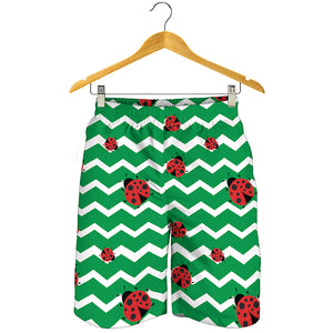 Green Zigzag Ladybird Pattern Print Men's Shorts