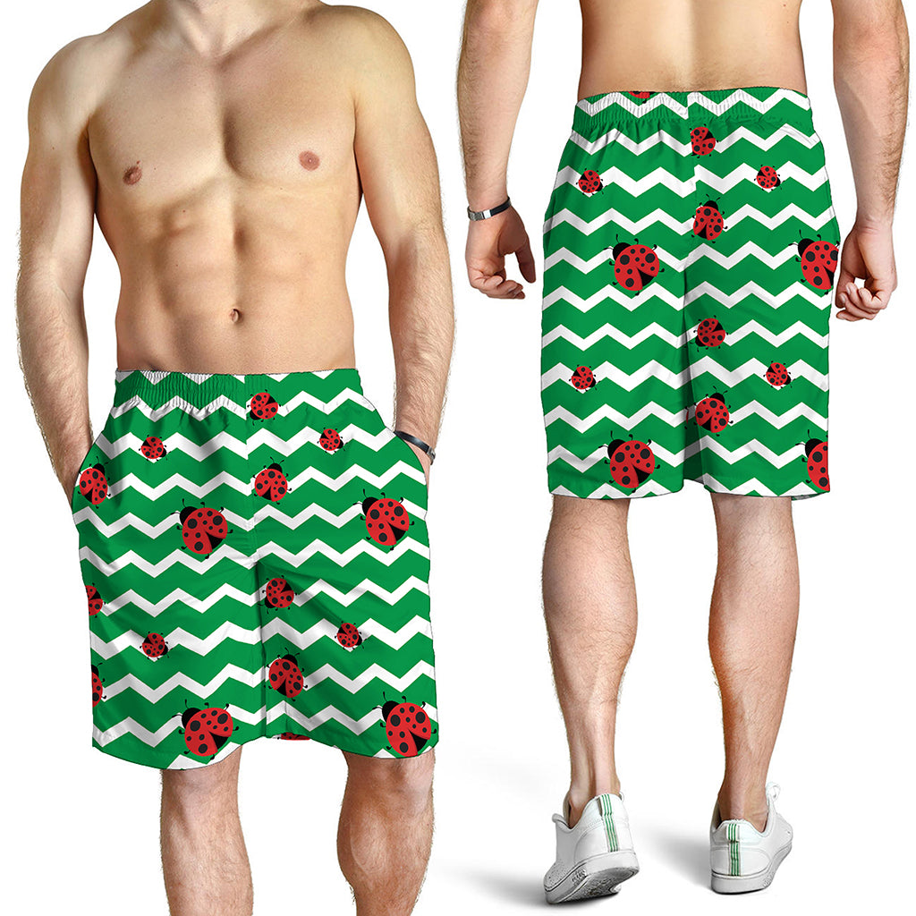 Green Zigzag Ladybird Pattern Print Men's Shorts