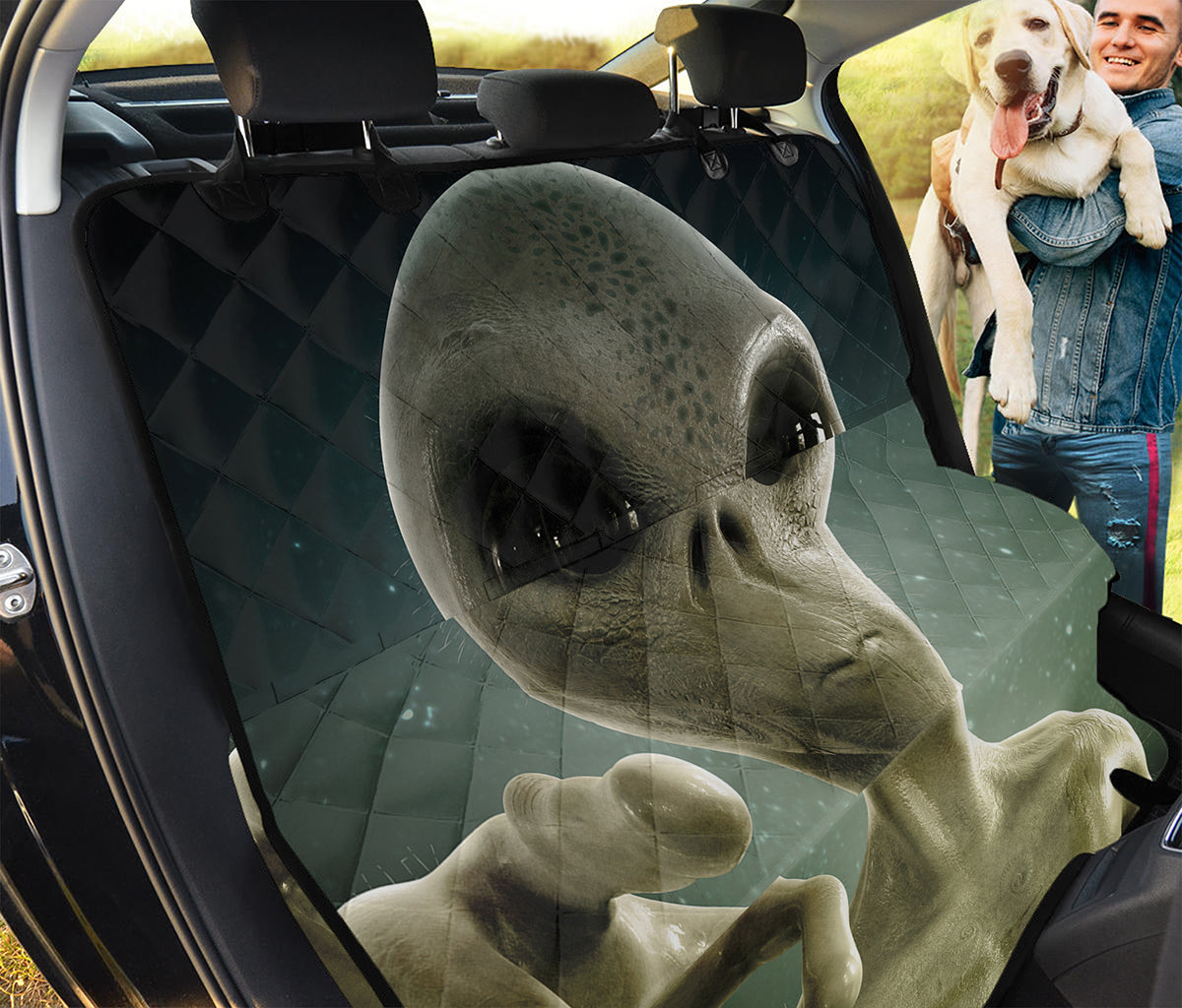 Grey Alien 3D Print Pet Car Back Seat Cover