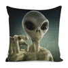 Grey Alien 3D Print Pillow Cover