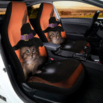Halloween Cute Witch Cat Print Universal Fit Car Seat Covers