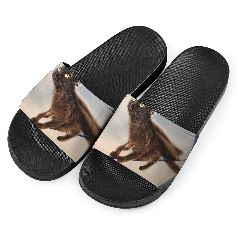 Halloween Flying Witch Cat Print Black Slide Sandals
