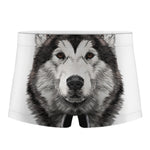 Hand Drawn Alaskan Malamute Print Men's Boxer Briefs