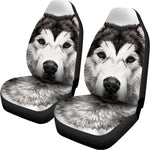 Hand Drawn Alaskan Malamute Print Universal Fit Car Seat Covers