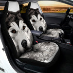 Hand Drawn Alaskan Malamute Print Universal Fit Car Seat Covers