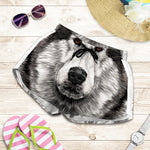Hand Drawn Alaskan Malamute Print Women's Shorts
