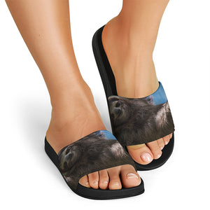 Happy Sloth Print Black Slide Sandals