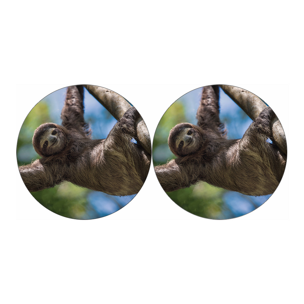 Happy Sloth Print Car Coasters