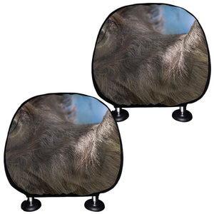 Happy Sloth Print Car Headrest Covers