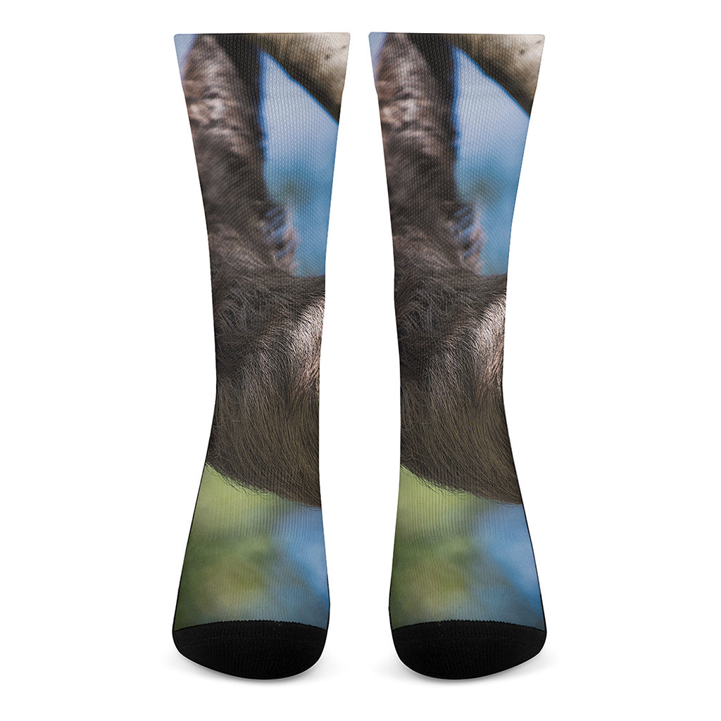 Happy Sloth Print Crew Socks