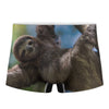 Happy Sloth Print Men's Boxer Briefs