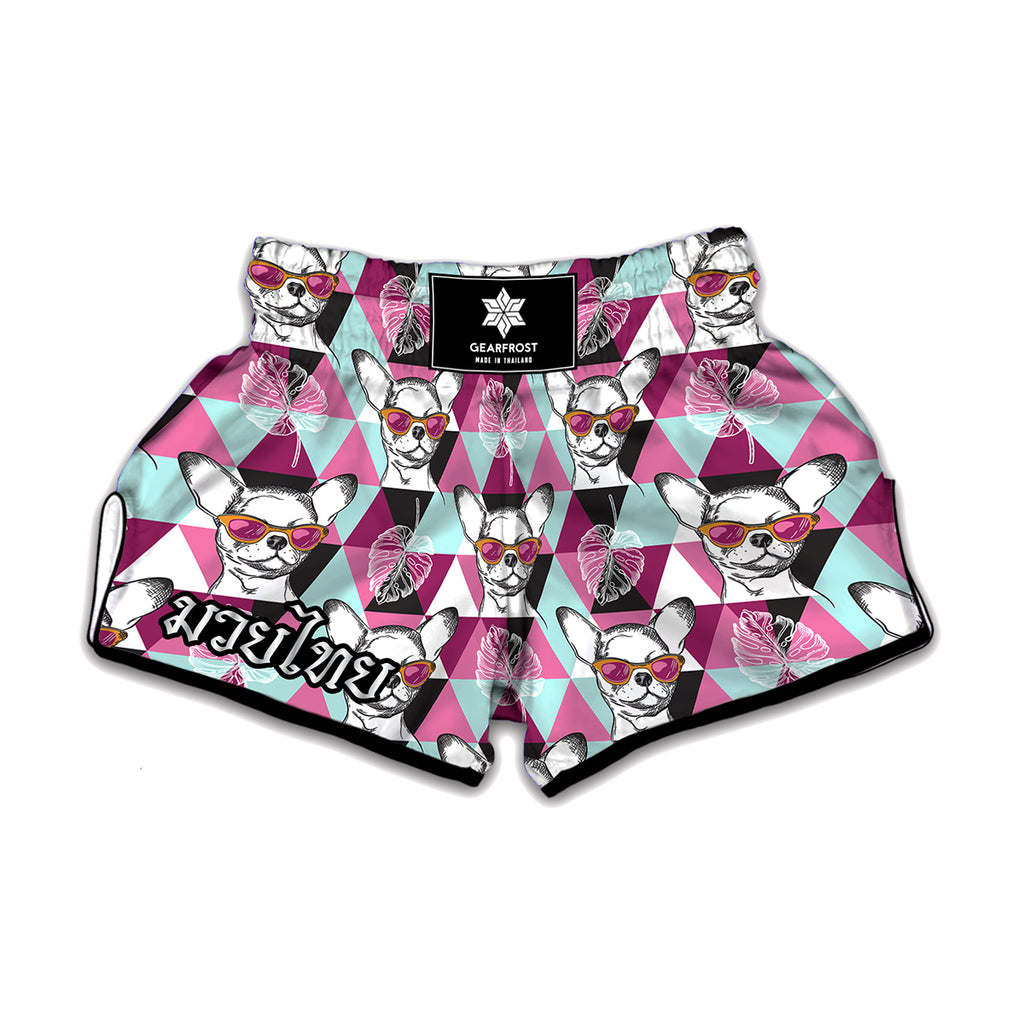 Hipster Chihuahua Pattern Print Muay Thai Boxing Shorts