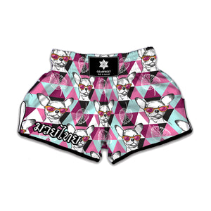 Hipster Chihuahua Pattern Print Muay Thai Boxing Shorts