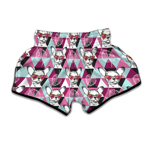 Hipster Chihuahua Pattern Print Muay Thai Boxing Shorts