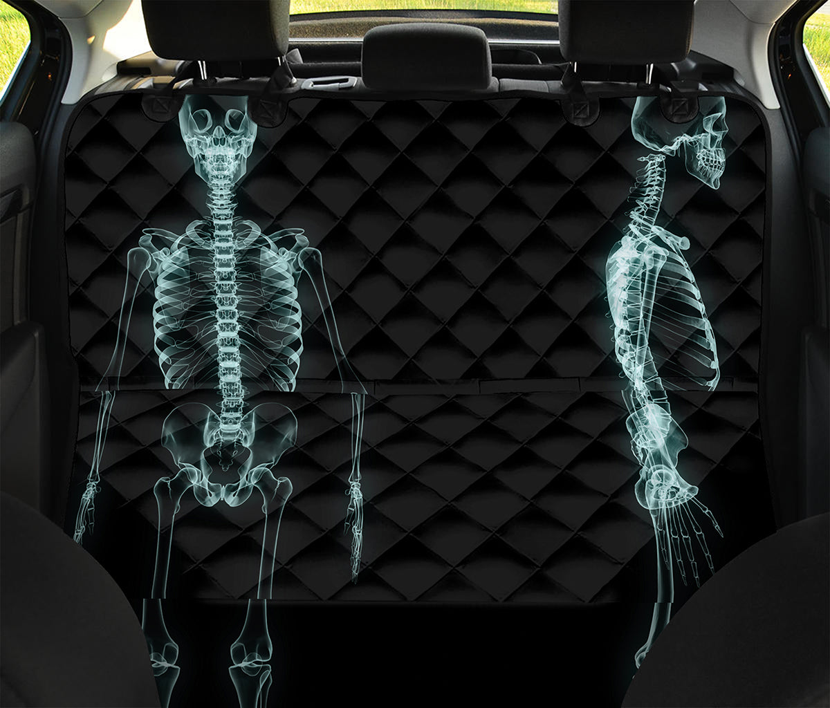 Human Skeleton X-Ray Print Pet Car Back Seat Cover