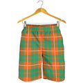 Irish Saint Patrick's Day Tartan Print Men's Shorts