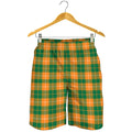 Irish Themed Plaid Pattern Print Men's Shorts