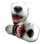 Jack Russell Terrier Portrait Print Boxing Gloves