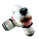 Jack Russell Terrier Portrait Print Boxing Gloves