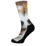 Jack Russell Terrier Portrait Print Crew Socks