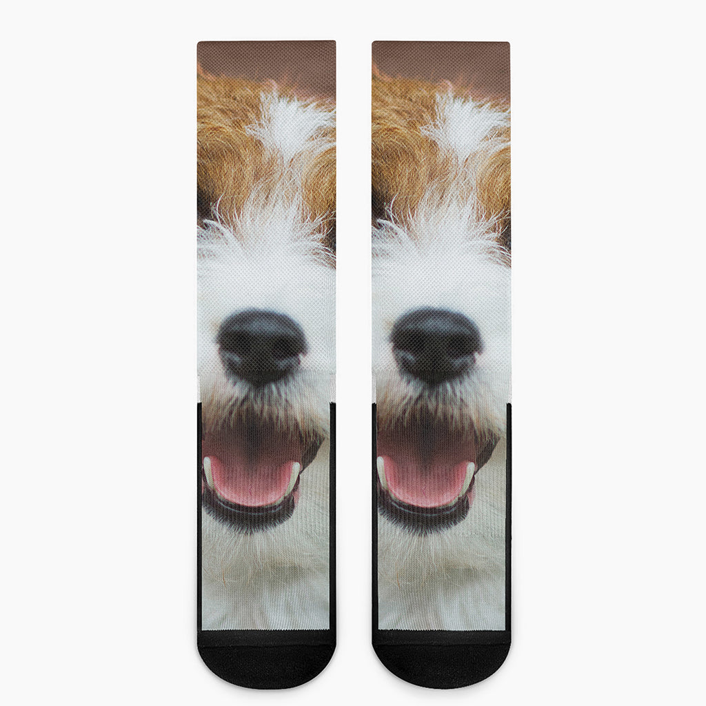 Jack Russell Terrier Portrait Print Crew Socks