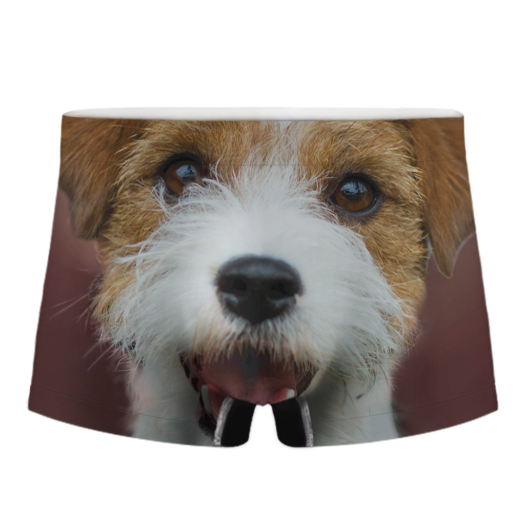 Jack Russell Terrier Portrait Print Men's Boxer Briefs