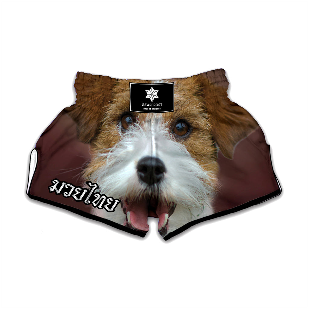 Jack Russell Terrier Portrait Print Muay Thai Boxing Shorts