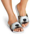 Jack Russell Terrier Portrait Print White Slide Sandals