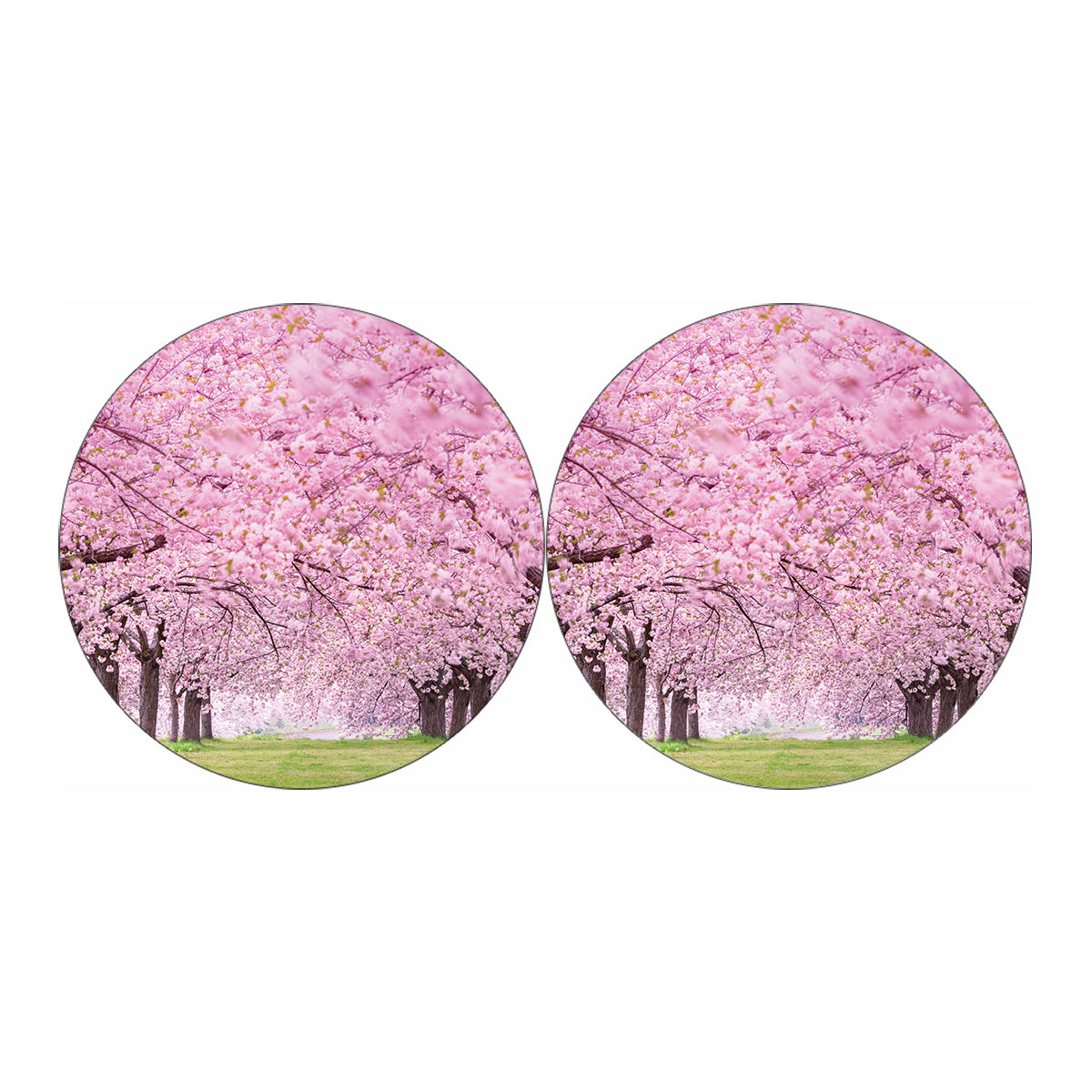 Japanese Cherry Blossom Tree Print Car Coasters
