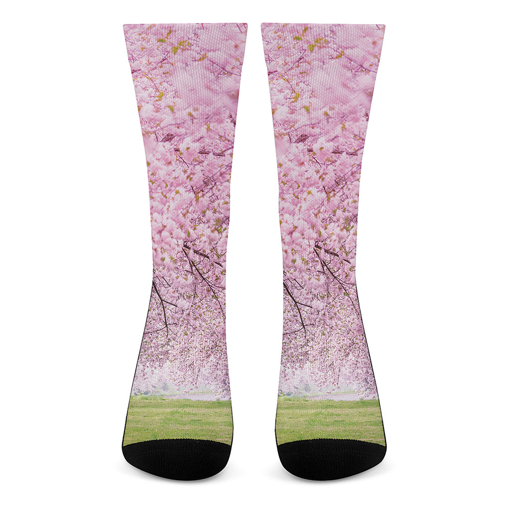 Japanese Cherry Blossom Tree Print Crew Socks