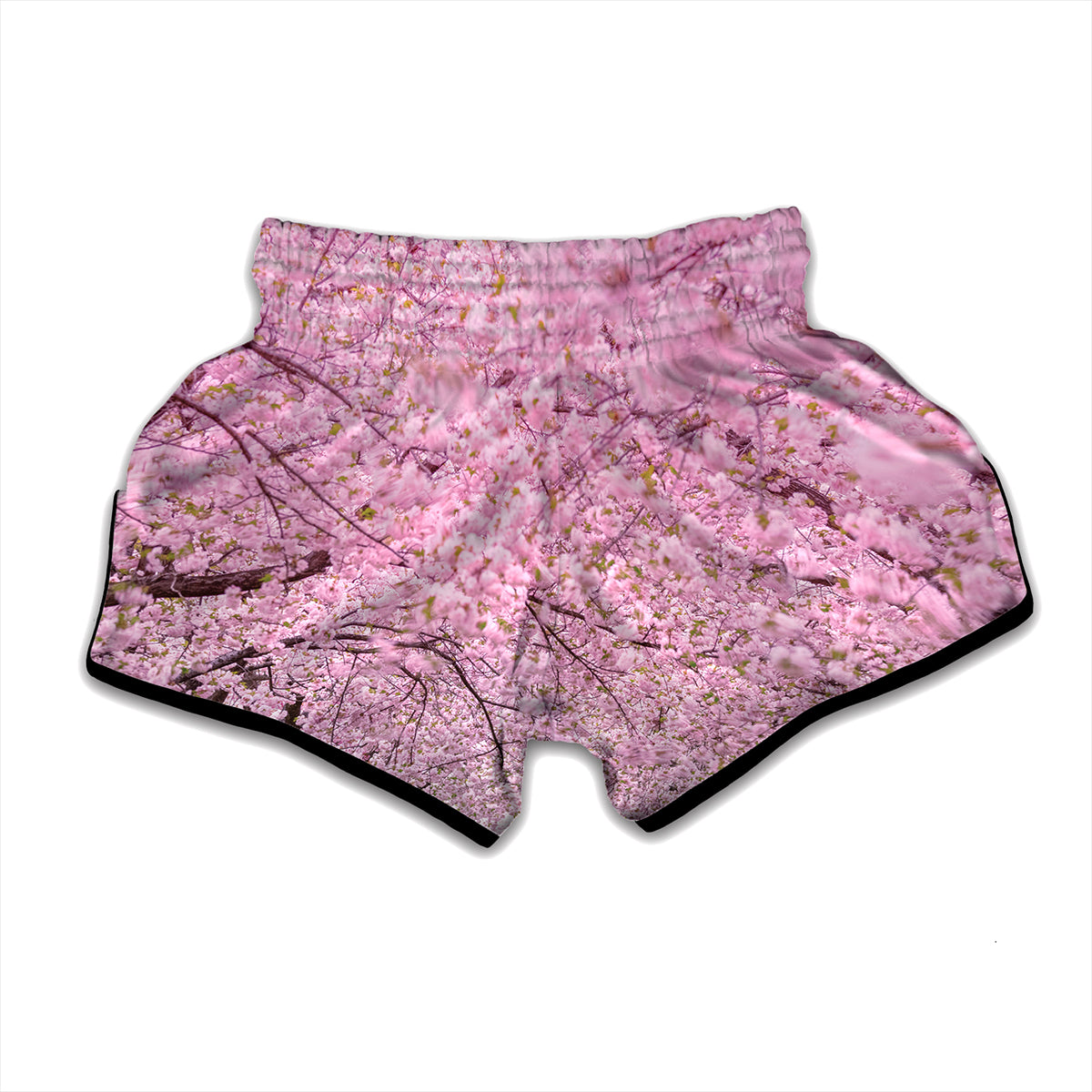 Japanese Cherry Blossom Tree Print Muay Thai Boxing Shorts
