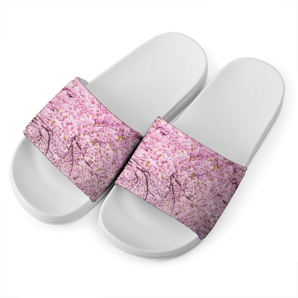 Japanese Cherry Blossom Tree Print White Slide Sandals