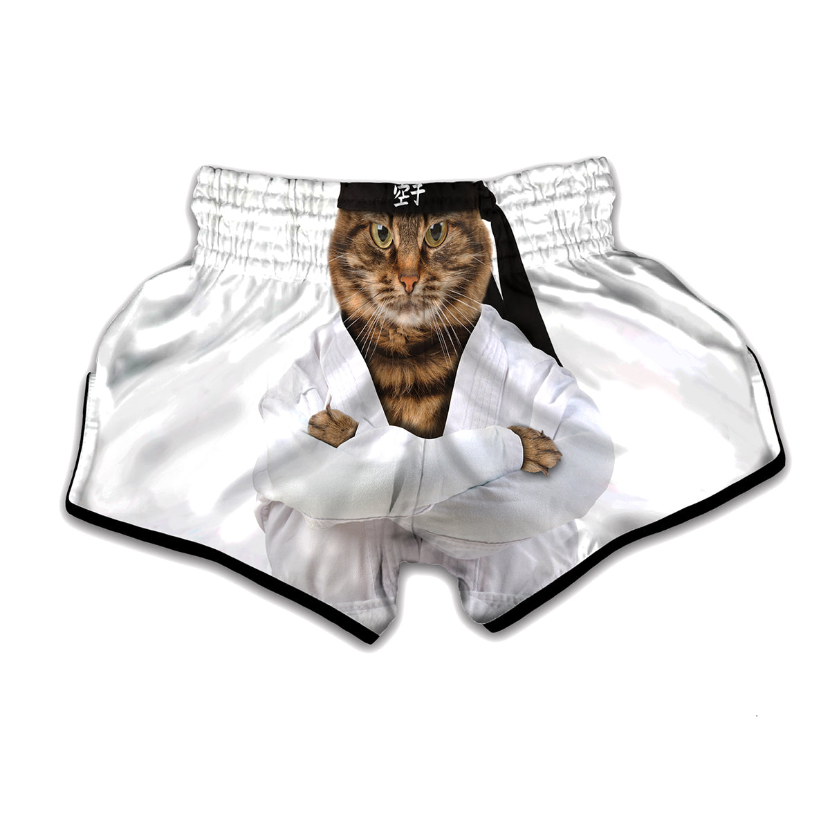 Karate Cat Print Muay Thai Boxing Shorts