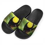 Keel-Billed Toucan Print Black Slide Sandals