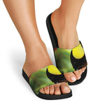 Keel-Billed Toucan Print Black Slide Sandals