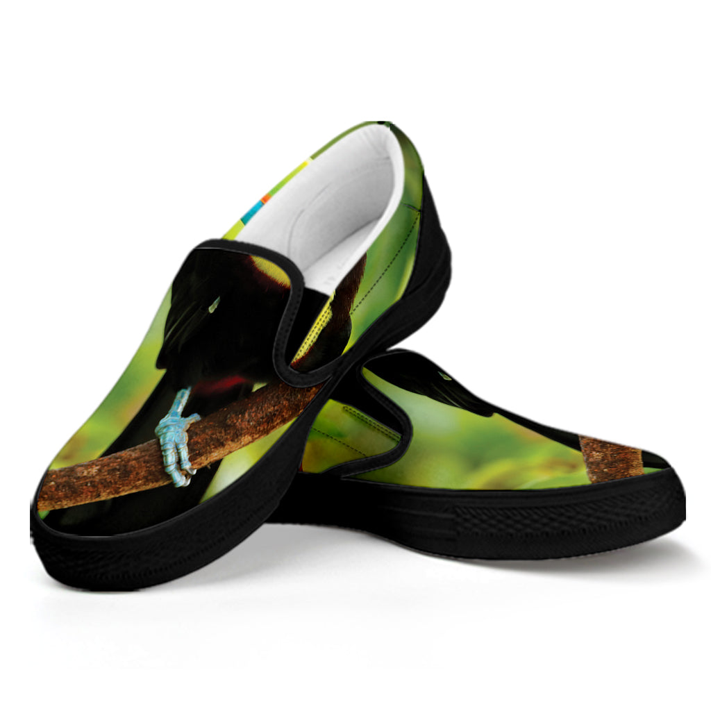 Keel-Billed Toucan Print Black Slip On Shoes