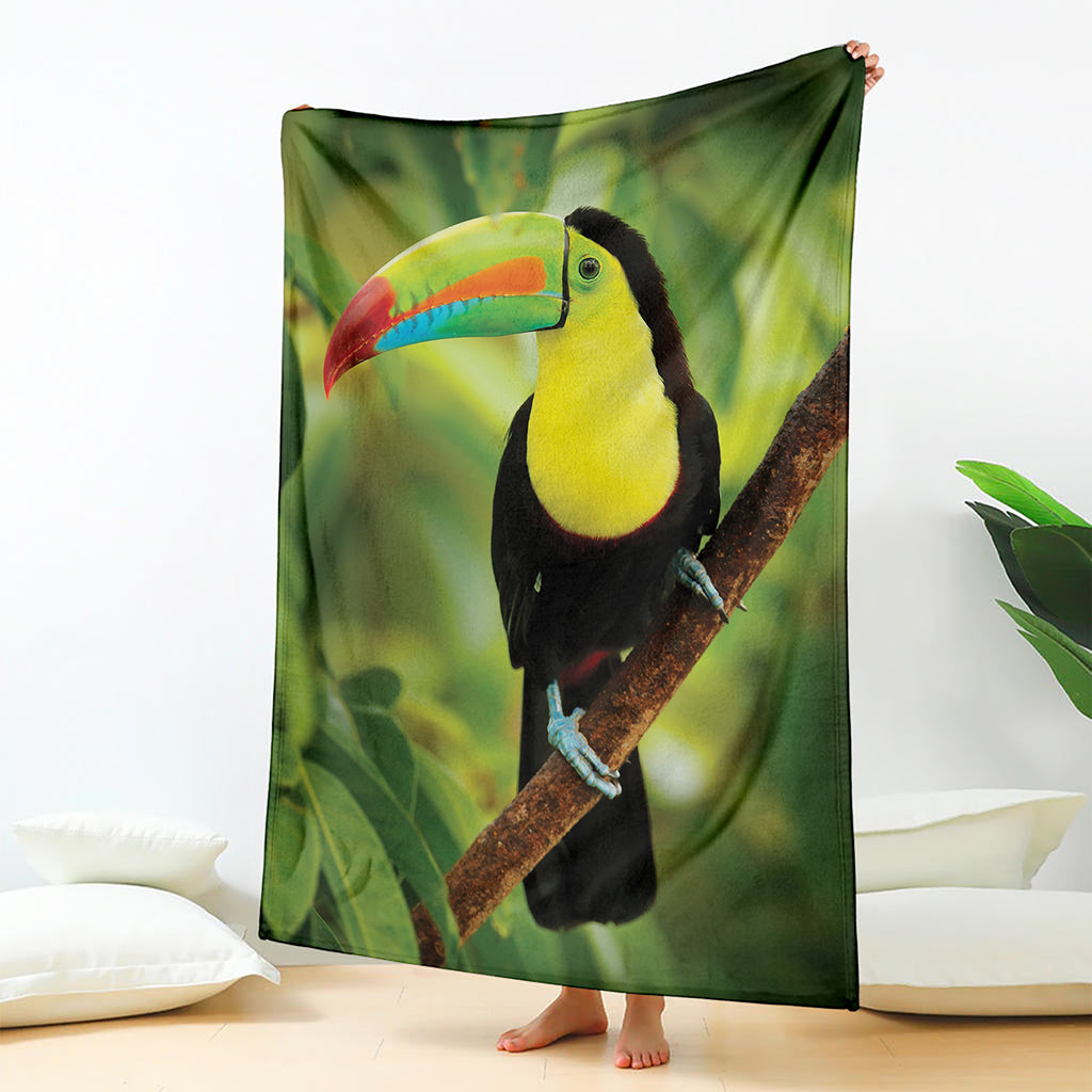 Keel-Billed Toucan Print Blanket