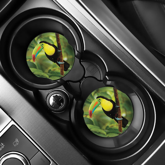 Keel-Billed Toucan Print Car Coasters