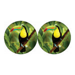 Keel-Billed Toucan Print Car Coasters