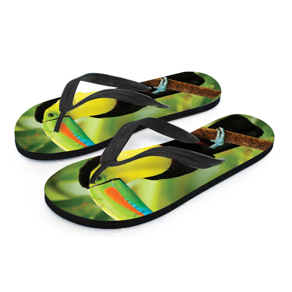 Keel-Billed Toucan Print Flip Flops