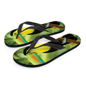 Keel-Billed Toucan Print Flip Flops