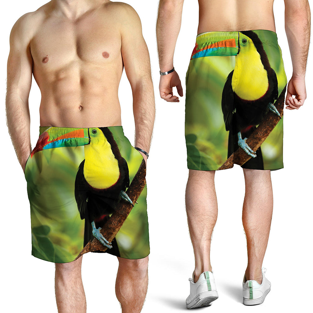 Keel-Billed Toucan Print Men's Shorts