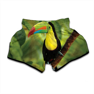 Keel-Billed Toucan Print Muay Thai Boxing Shorts