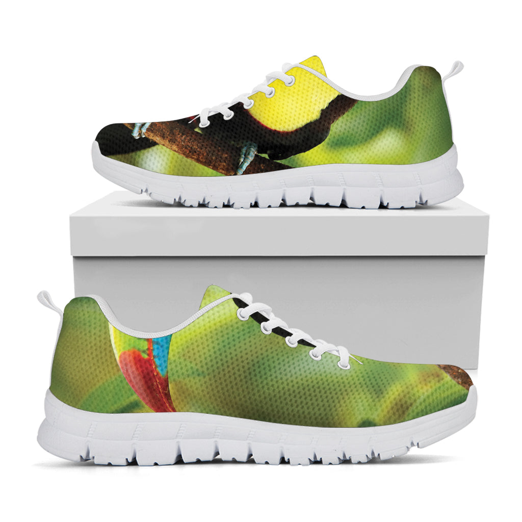 Keel-Billed Toucan Print White Sneakers