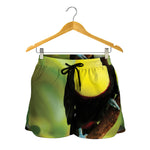 Keel-Billed Toucan Print Women's Shorts