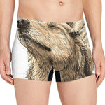 Labrador Retriever And Puppy Print Men's Boxer Briefs