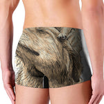 Labrador Retriever And Puppy Print Men's Boxer Briefs
