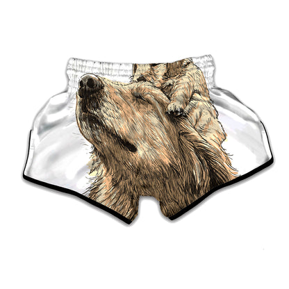 Labrador Retriever And Puppy Print Muay Thai Boxing Shorts
