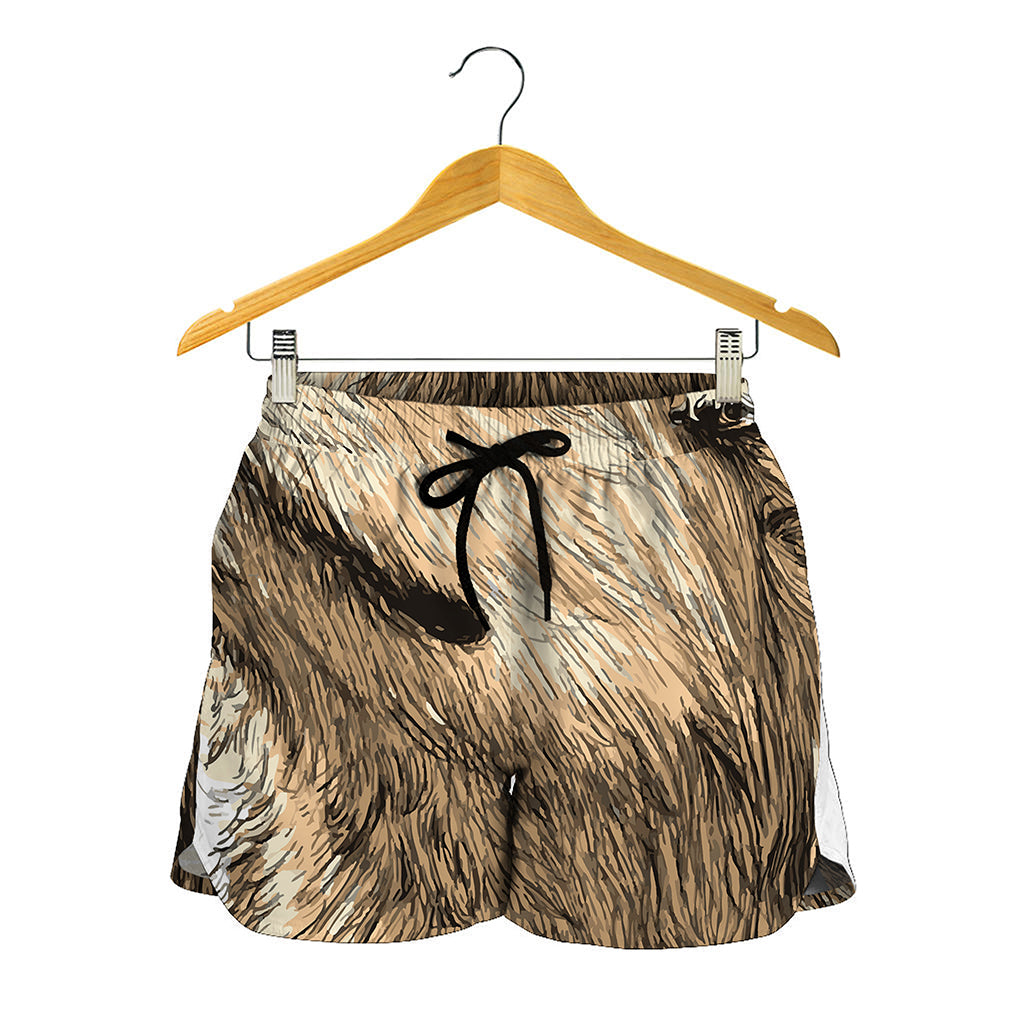 Labrador Retriever And Puppy Print Women's Shorts