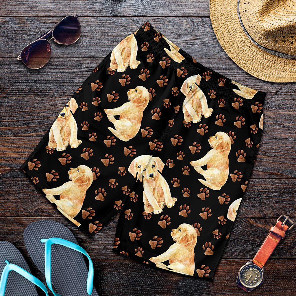 Labrador Retriever Puppy Pattern Print Men's Shorts